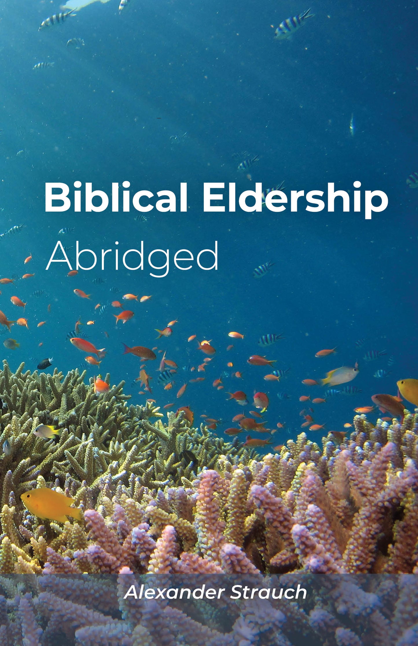 Biblical Eldership