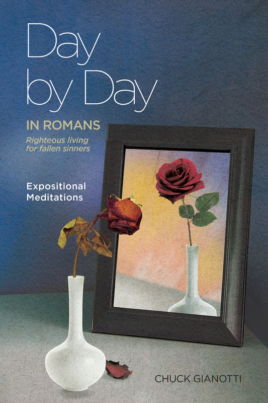 Day by Day in Romans