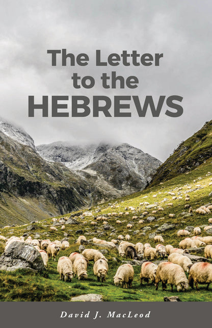 The Letter to the Hebrews