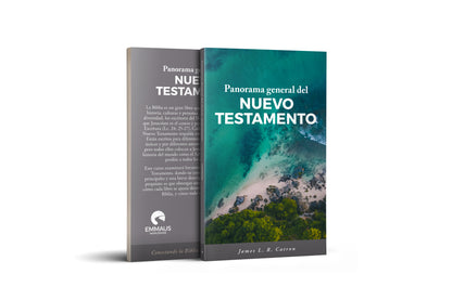 Panorama general del Nuevo Testamento
