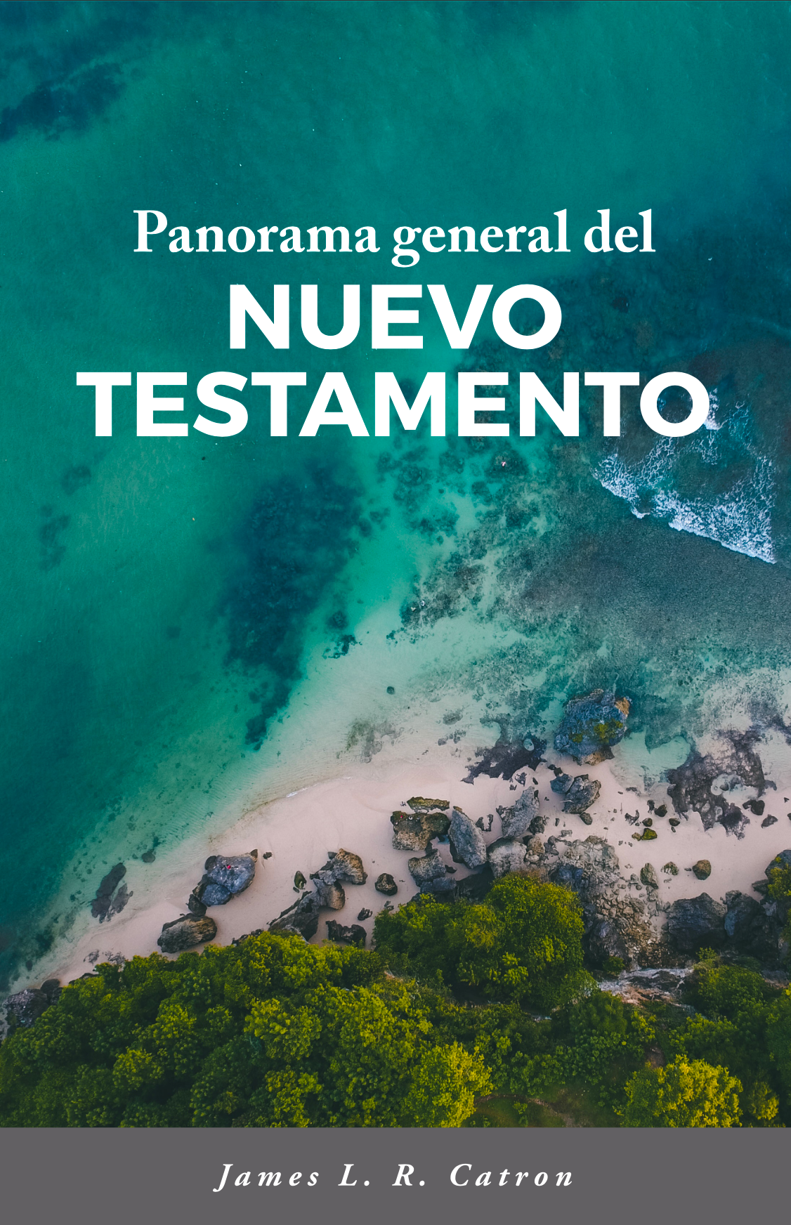 Panorama general del Nuevo Testamento