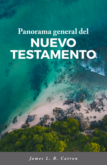 Panorama general del Nuevo Testamento
