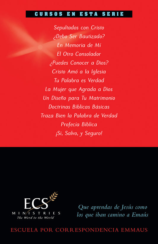 ¡Sí, Salvo, y Seguro!