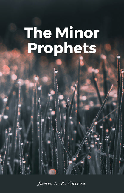 The Minor Prophets