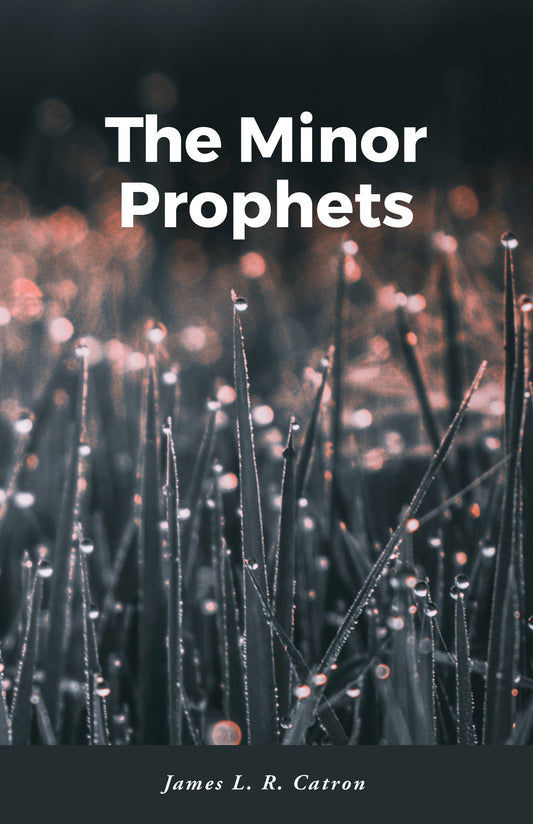 The Minor Prophets