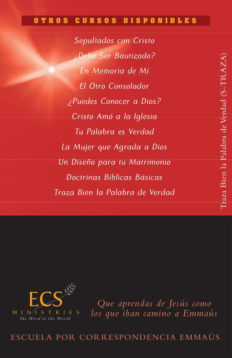 Traza Bien la Palabra de Verdad